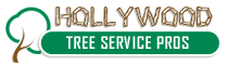 Hollywood Tree Services Pros